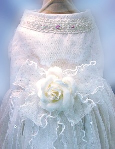 Dog bridal gown
