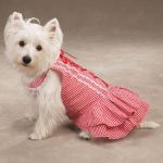 pink stylish dog dress